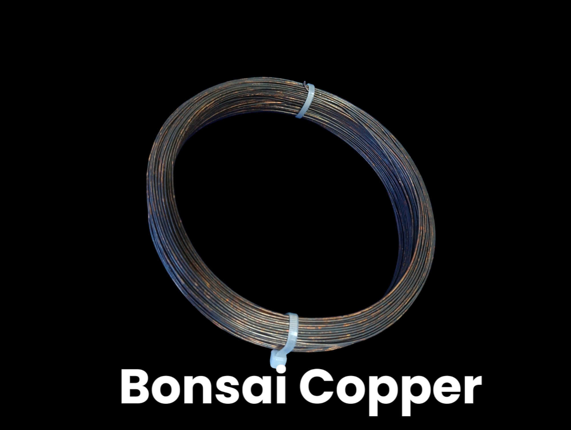 BONSAI TREE TRAINING COPPER